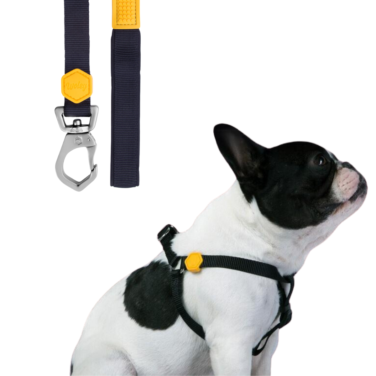 Kit Coleira Peitoral Woley Basicão M + Escolha sua Guia
