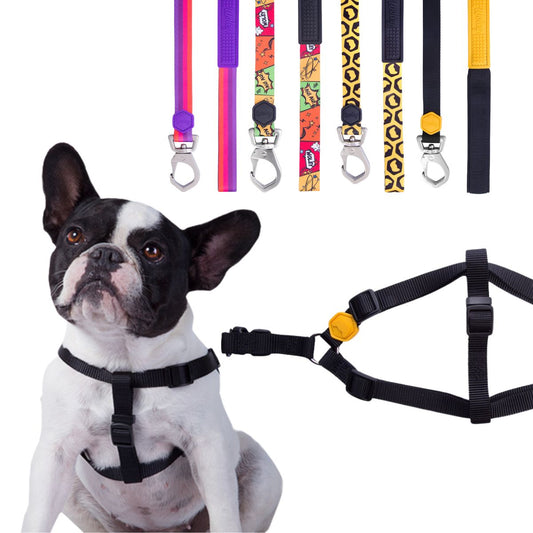 Kit Coleira Peitoral Woley Basicão M + Escolha sua Guia