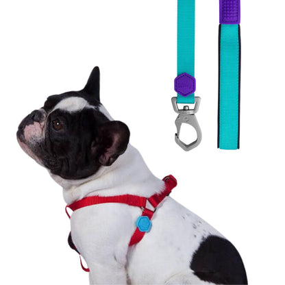 Kit Coleira Peitoral Woley Catchup M + Escolha sua Guia